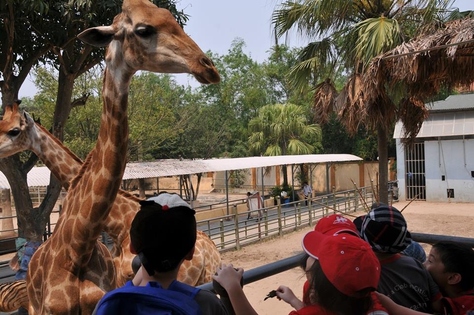 Tại đây có nhiều loài thú quý hiếm của Việt Nam và thế giới.