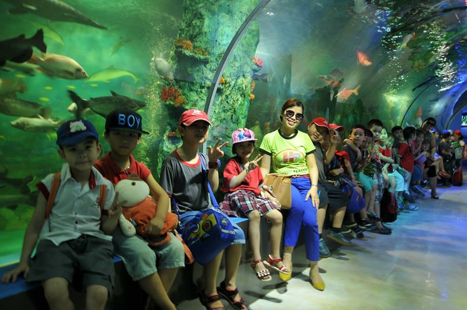 Đến với thủy cung, các bé lọt vào không gian tươi mát, trong lành của đại dương.