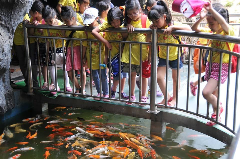 Đoàn khách tham quan nhí cùng nhìn ngắm những loài cá và sinh vật biển độc đáo.