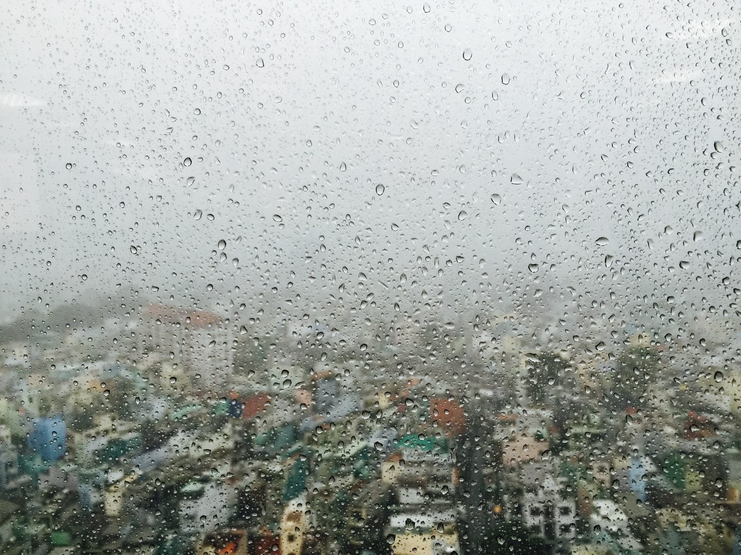 Khả năng lấy nét của Neo 5 chính xác, có thể bắt nét được các hạt mưa nhỏ trên lớp kính ở khoảng cách gần, ngay trong lần chạm đầu tiên.