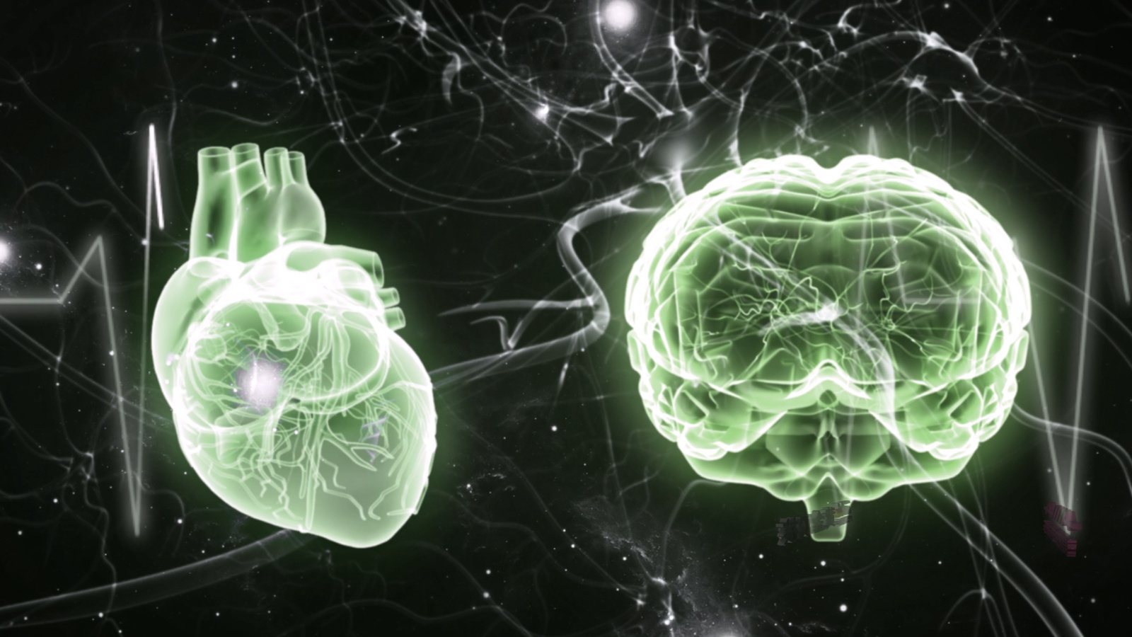 Sự kết hợp giữa “trí tuệ” và sức mạnh trên AIMA SAHARA.