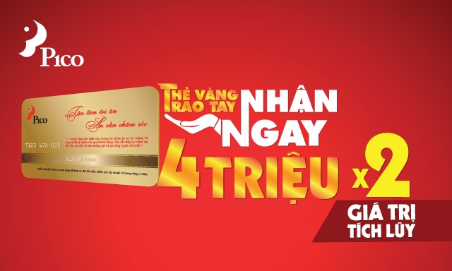 Khuyen mai lon tai sieu thi dien may Pico hinh anh