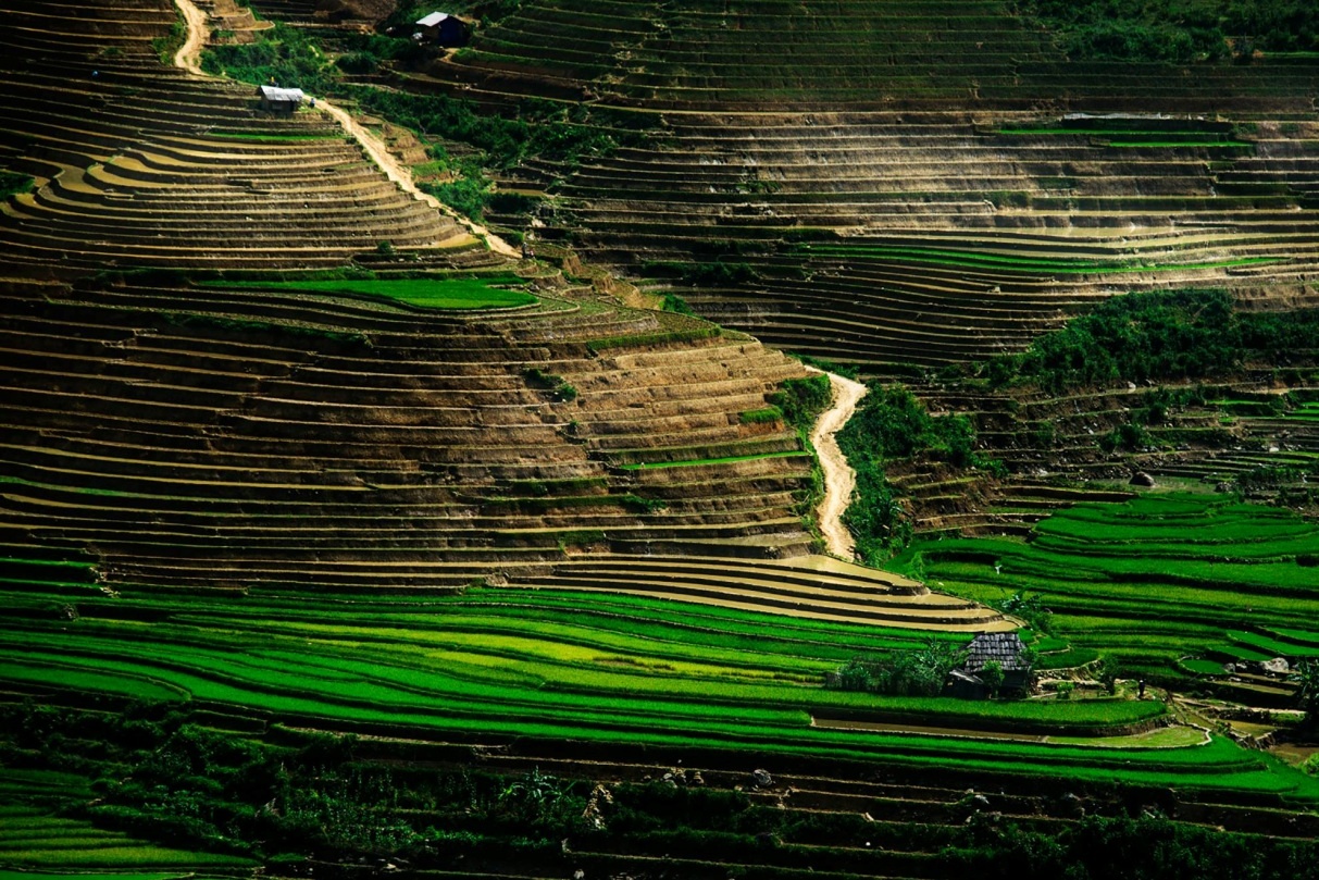 Khó có thể rời mắt khỏi hình ảnh Mù Căng Chải với những thửa ruộng bậc thang hút tầm mắt, đèo Khau Phạ - nơi mệnh danh là một trong tứ đại đỉnh đèo và Hà Giang đẹp như chốn bồng lai tiên cảnh với tam giác mạch, cao nguyên đá Đồng Văn, đèo Mã Pí Lèng.