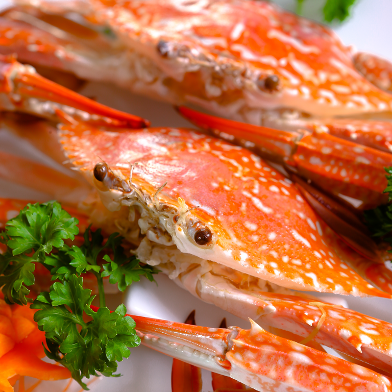 Thuong thuc cua ghe ngon, gia uu dai tai Ha Noi hinh anh