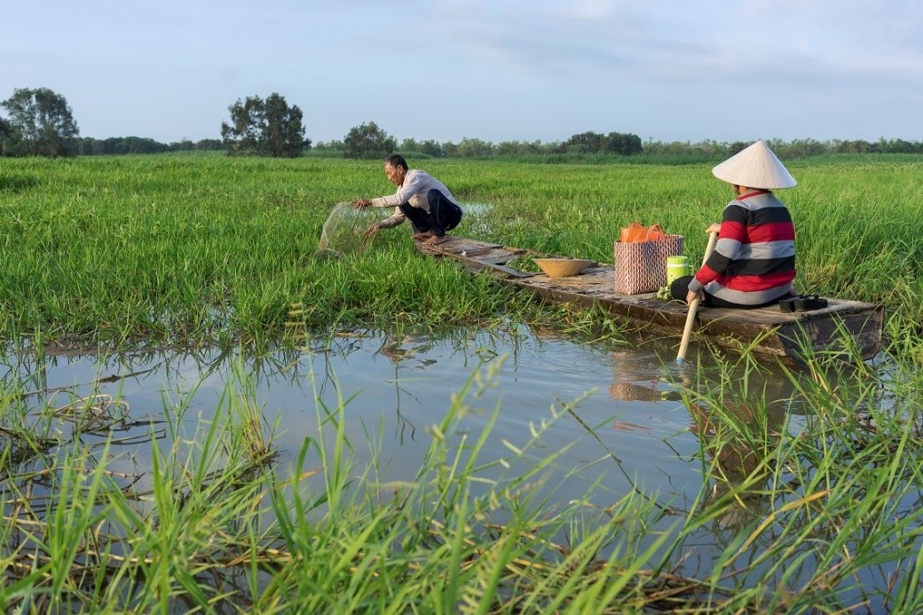 Vuon Quoc Gia Tram Chim duoc bao ton da dang sinh hoc hinh anh