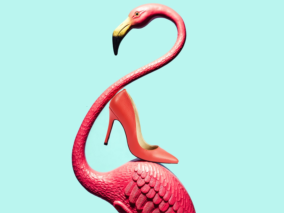 Nhung duong cong cam do cua giay Dolly hinh anh