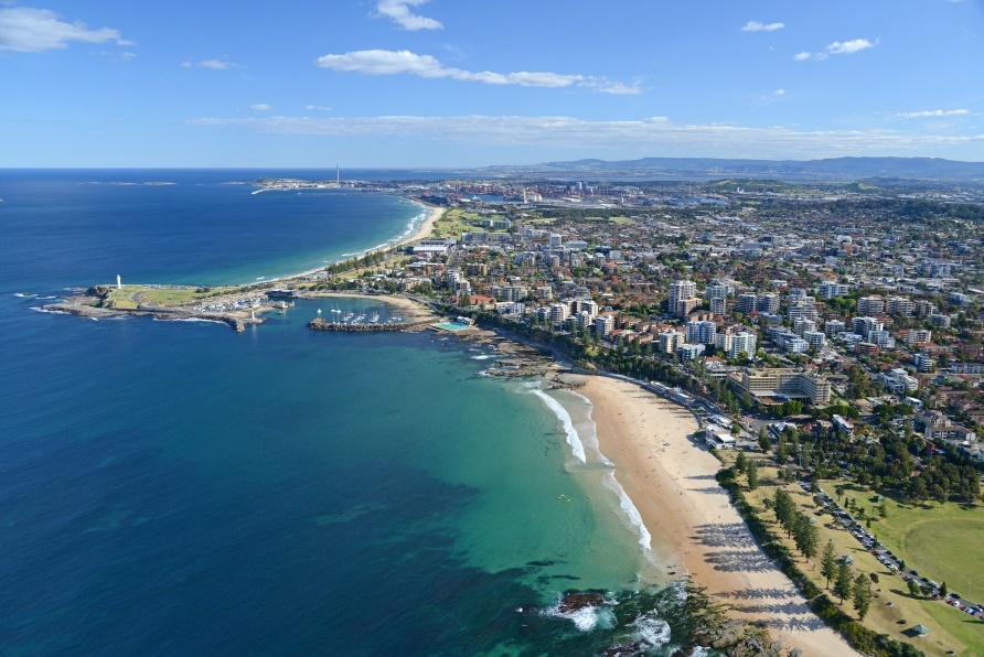 Co hoi phong van truc tiep cung Dai hoc Wollongong hinh anh