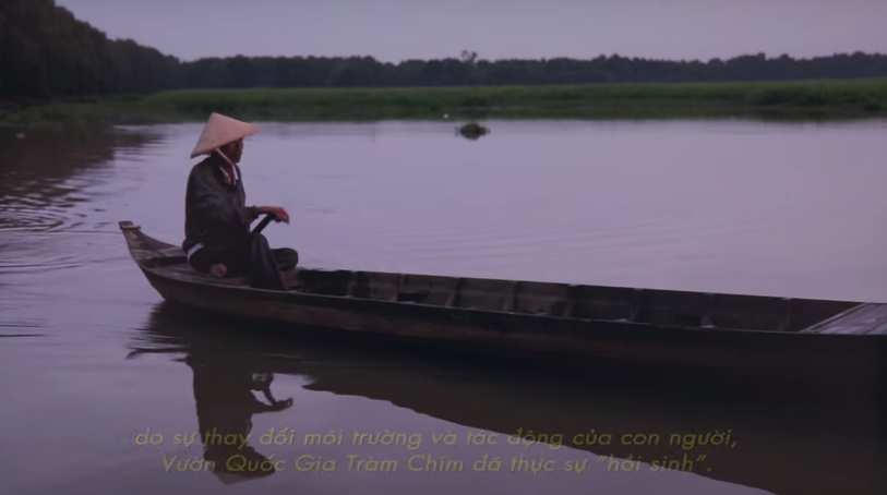 Su hoi sinh cua vuon quoc gia Tram Chim hinh anh