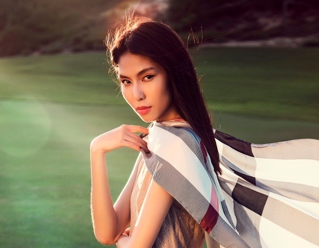 Burberry lam moi minh voi mau xanh navy va do co hinh anh