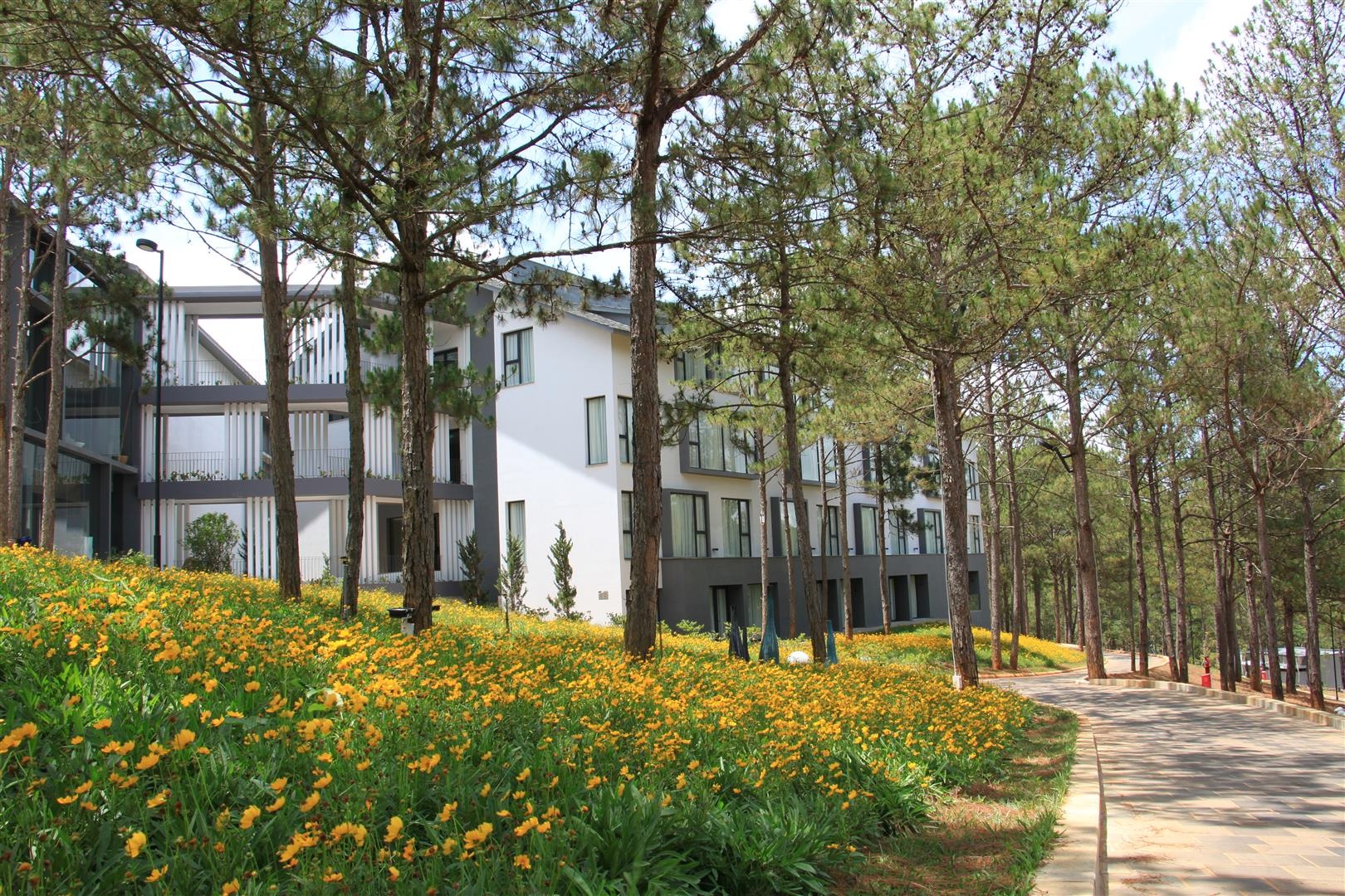 Resort Terracotta Da Lat tao khac biet tu yeu to con nguoi hinh anh