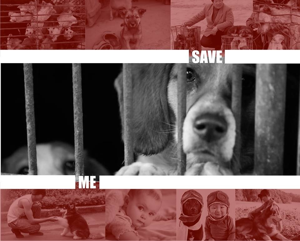 Young Marketers mua 4: Noi khong voi thit cho hinh anh