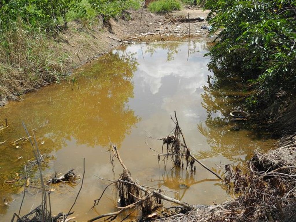 Mùa khô, đất nứt nẻ, nước ở ao đìa đều cạn kiệt, còn nước sông thì đầy rong rêu... Các em học sinh trường Tiểu học Tân Phú Đông (Tân Phú Đông, Tiền Giang) lẫn người dân nơi đây hằng ngày phải đối diện với việc thiếu nước ngọt trầm trọng.