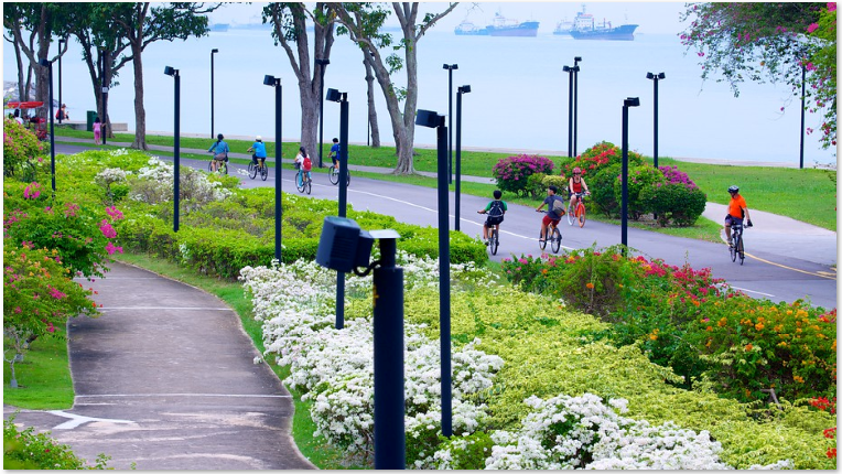 Vùng biển trong lành bằng những vòng xe đạp thư thái ở East Coast Park.
