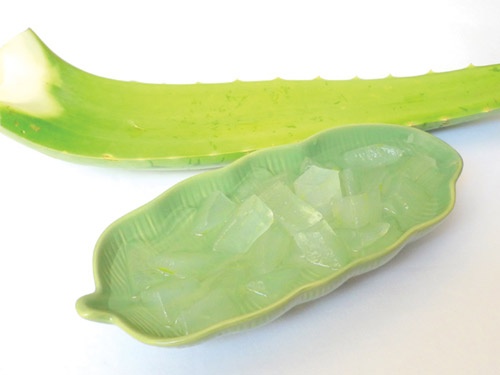 Nhựa nha đam có tác dụng trị sẹo thâm do mụn rất hiệu quả và an toàn