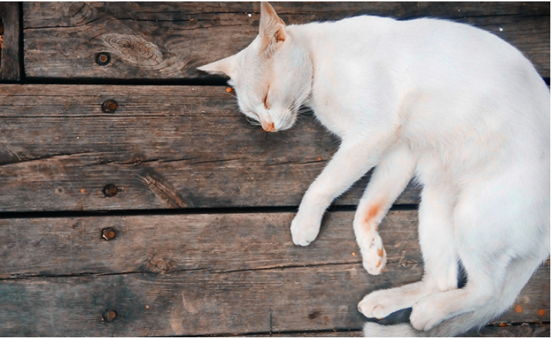 Alcatel Flash 2 - smartphone cho tin do thich chup anh hinh anh