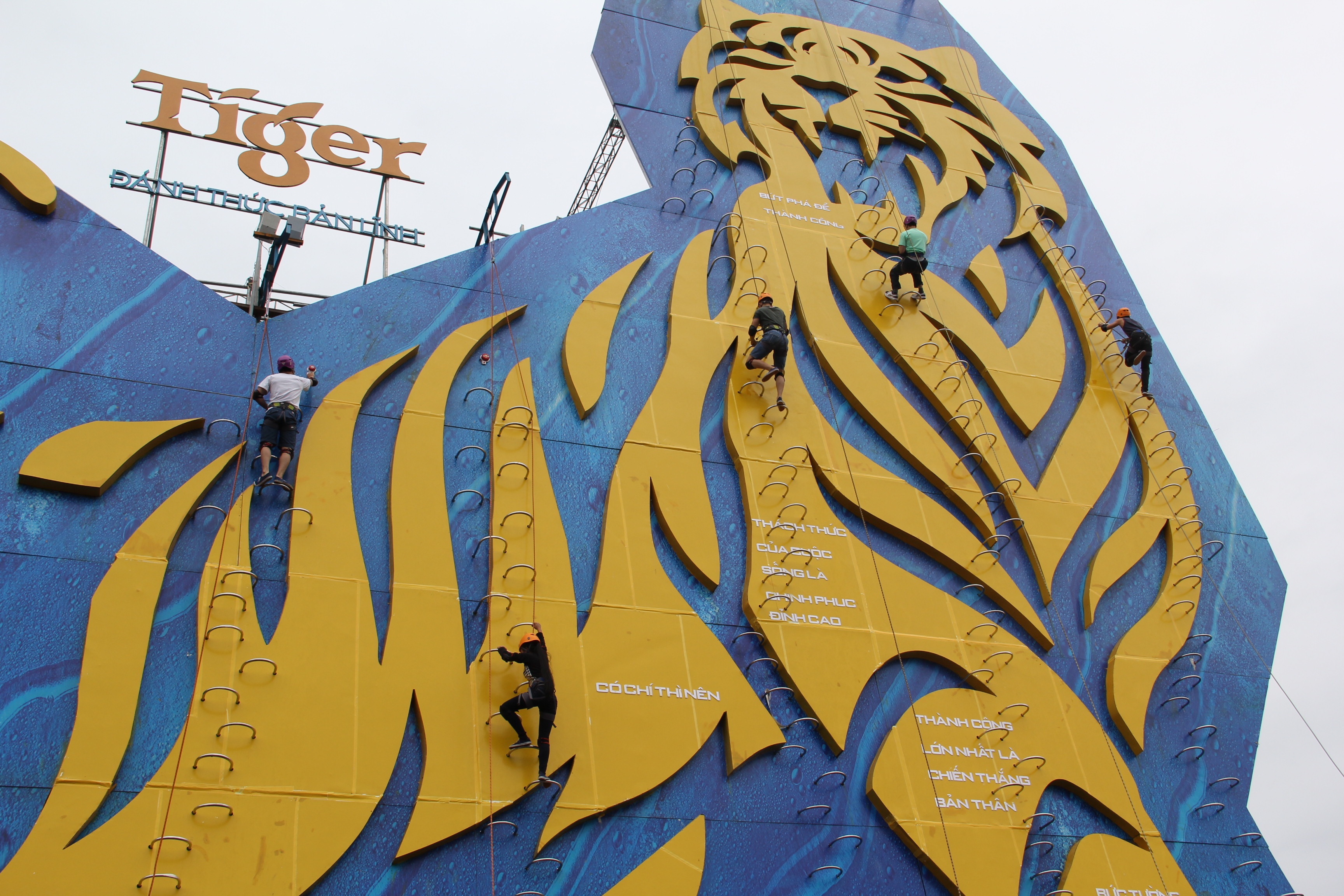 Một bức tường nhân tạo cao 25 m được nhiều bạn trẻ chinh phục trong chuỗi sự kiện Chinh phục bức tường Tiger cao nhất Việt Nam.