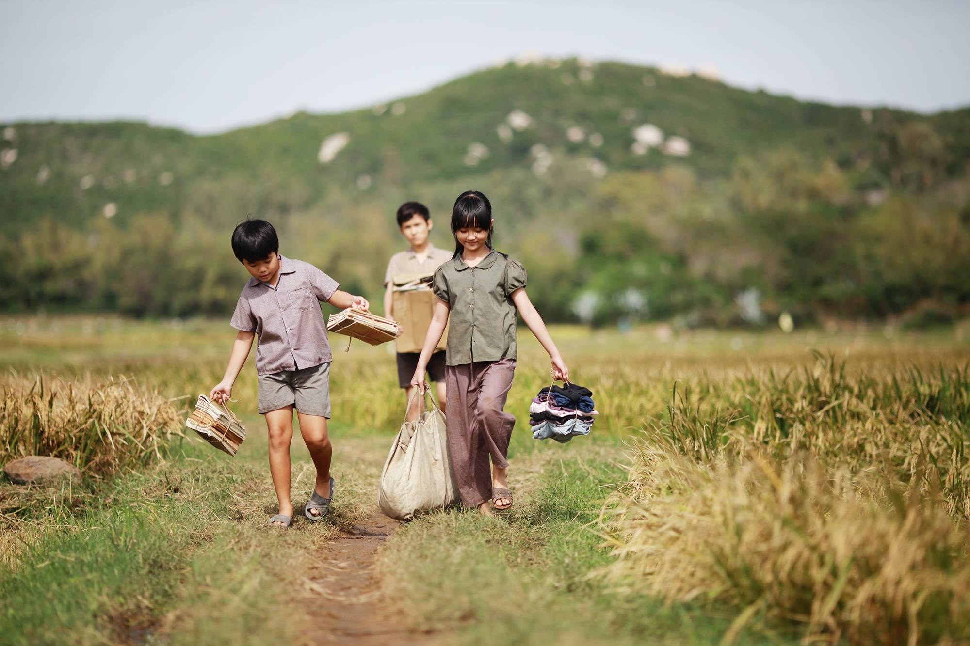 'Toi thay hoa vang tren co xanh’ len song truyen hinh hinh anh