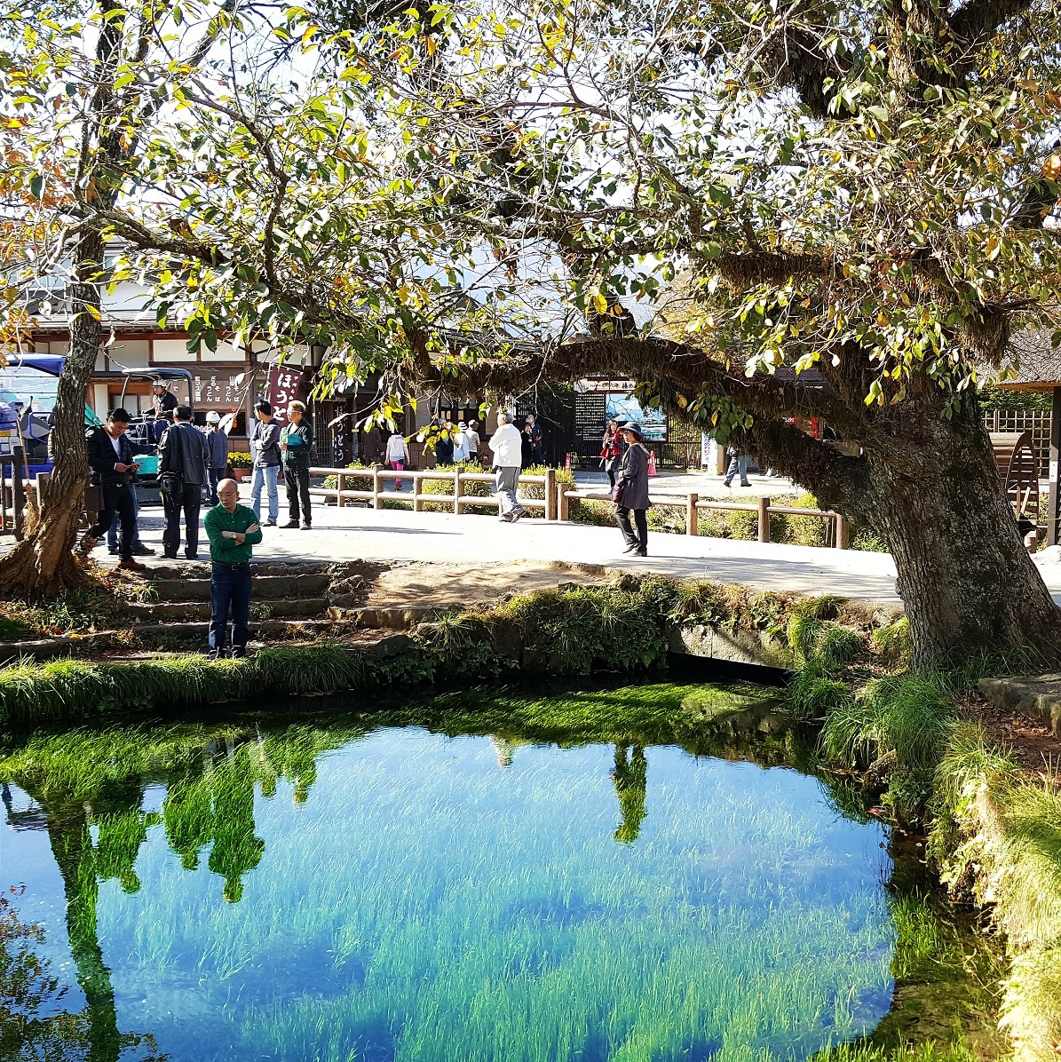 Từ Tokyo đi về hướng núi Phú Sĩ, hình ảnh ngôi làng cổ Oshino Hakkai lọt vào ống kính của Galaxy S6 Edge+. Ngôi làng được bao quanh bởi 8 hồ nước lớn nhỏ khác nhau.   