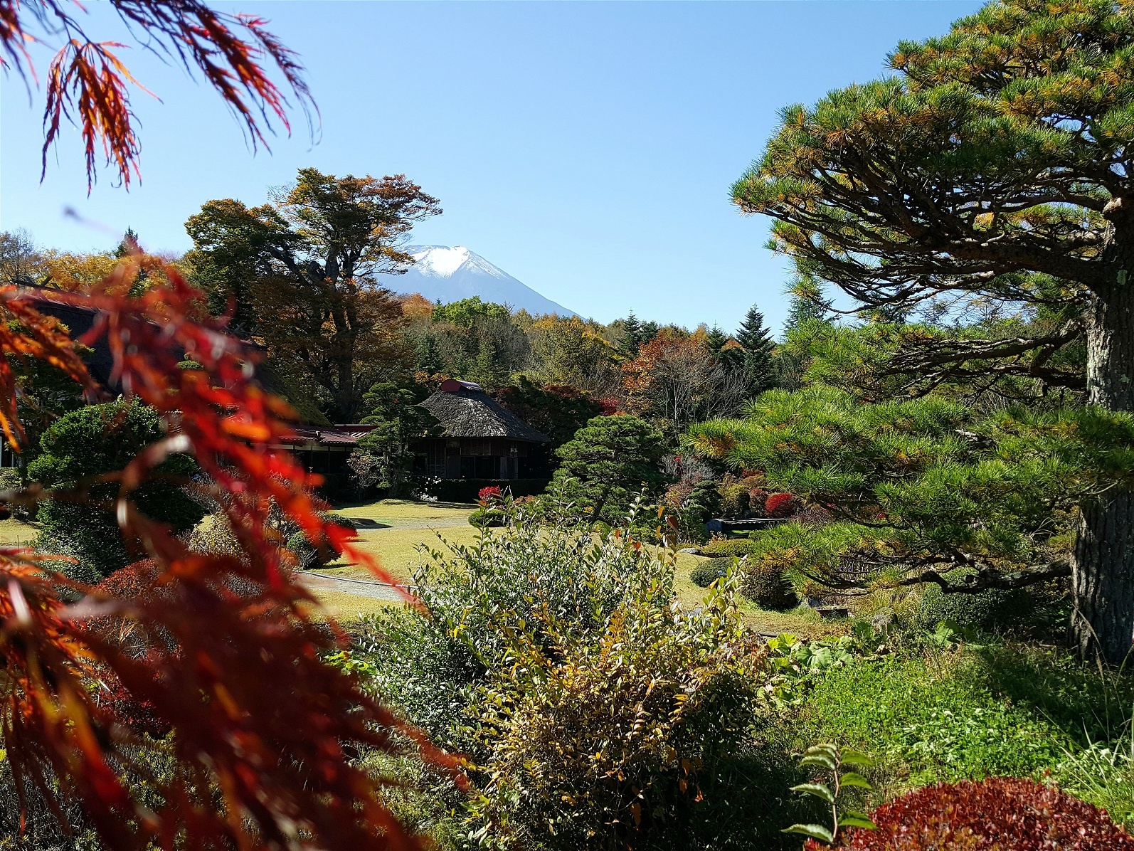 Đứng ở bên đây hồ sẽ thấy đỉnh núi Phú Sĩ phủ đầy tuyết hiện ra hùng vĩ.