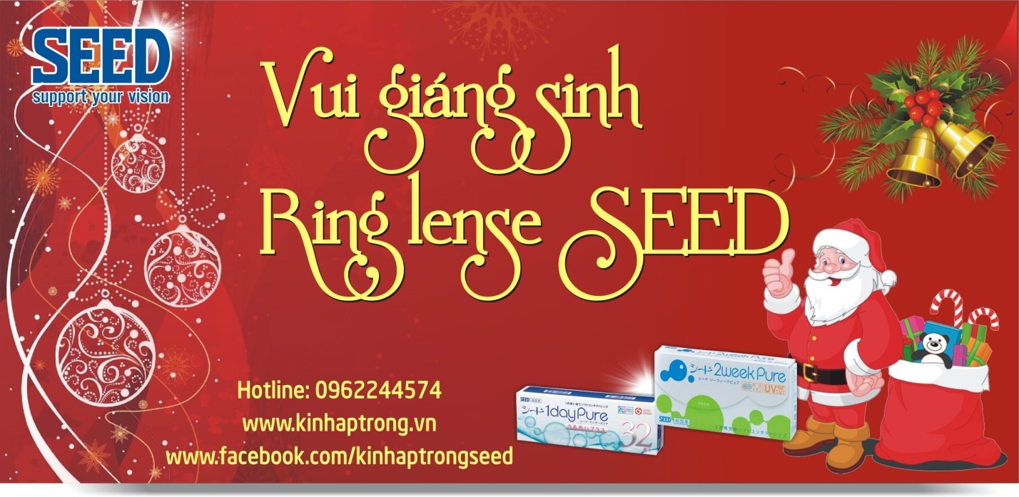 Kinh ap trong SEED khuyen mai lon dip Giang sinh hinh anh