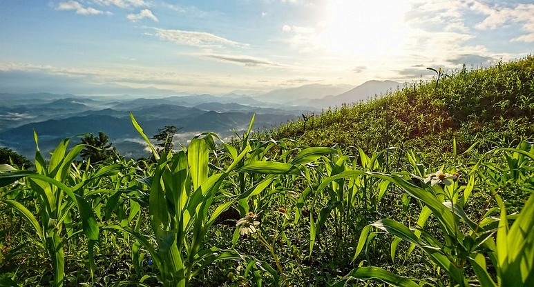 Khả năng lấy nét nhanh của Xperia Z5 Dual cho phép người dùng dễ dàng ghi lại từng khoảnh khắc ấn tượng trên cung đường phượt.