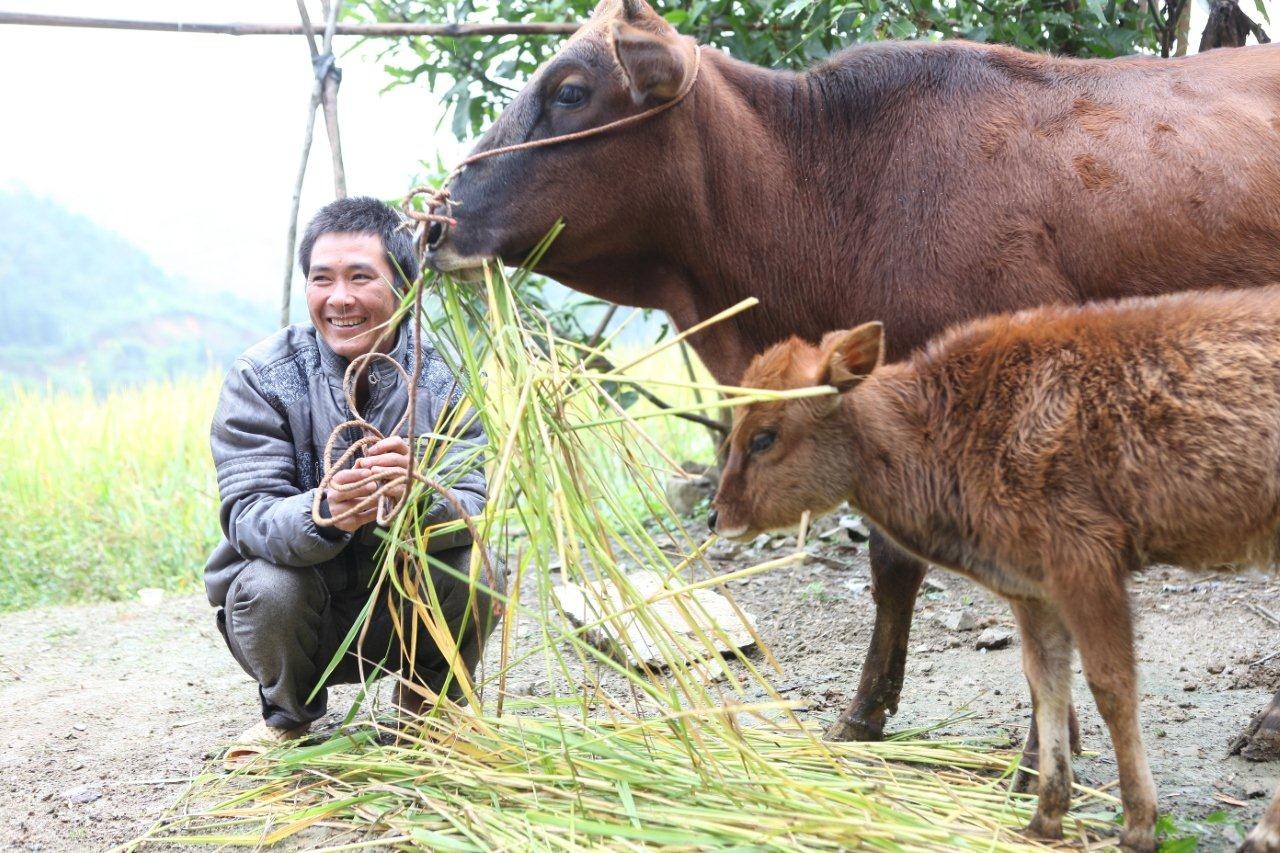 Tu phu song vien thong toi phu… bo noi bien gioi hinh anh