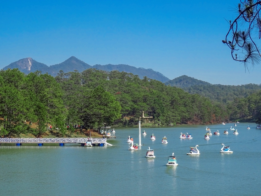 Cung duong tinh yeu: Diem den moi cho cap doi tai Da Lat hinh anh