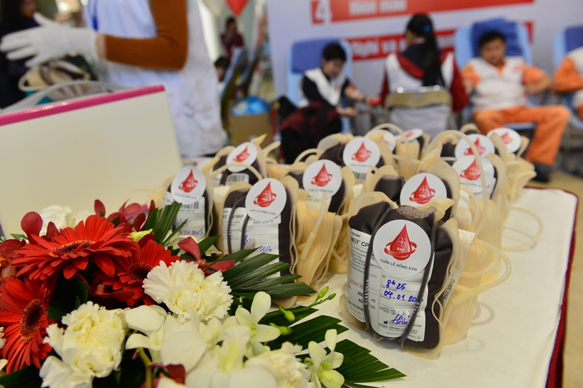 EVN trao giay khen cho can bo 31 lan hien mau nhan dao hinh anh