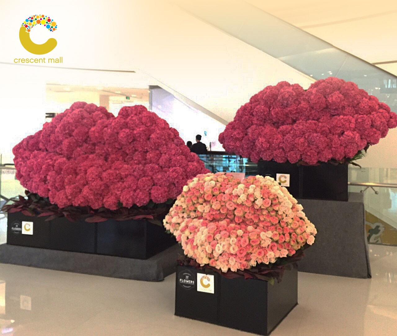 Chuoi su kien 'Tat ca cho phai dep' tai Cresent Mall hinh anh