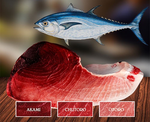 sashimi, nigiri, sushi, cá ngừ Nhật Bản ảnh 1 sashimi, nigiri, sushi, ca ngu Nhat Ban anh 1