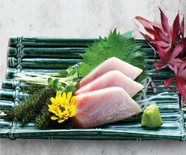 sashimi, nigiri, sushi, cá ngừ Nhật Bản ảnh 4 sashimi, nigiri, sushi, ca ngu Nhat Ban anh 4