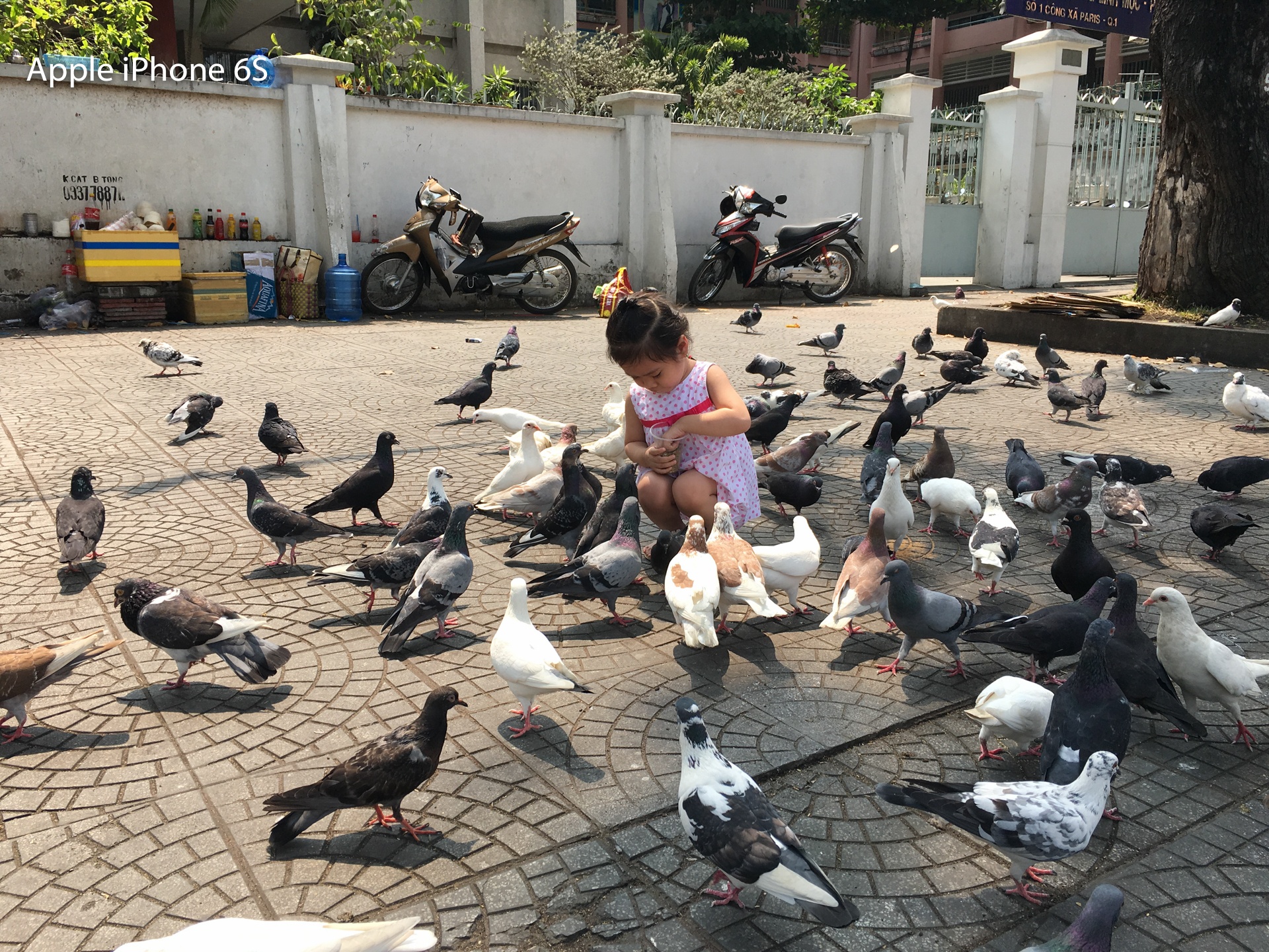 so sanh Galaxy S7 va iPhone 6S anh 3