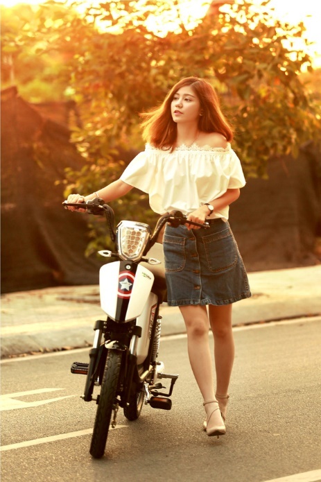 nen mua xe dap dien hang nao,  xe dap dien Viet anh 1