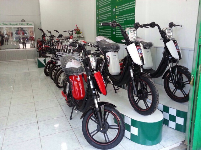 Xe dap dien Viet dan chiem linh thi truong hinh anh
