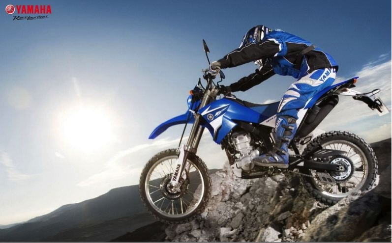 trien lam xe may Viet Nam anh 2