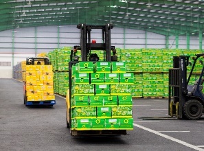 tra xanh khong do duoc lam nhu the nao anh 10