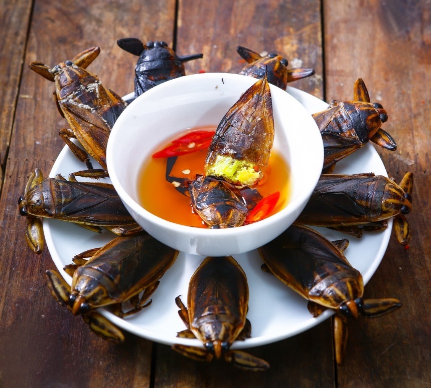 cha ca La Vong ngon tai Ha Noi anh 3