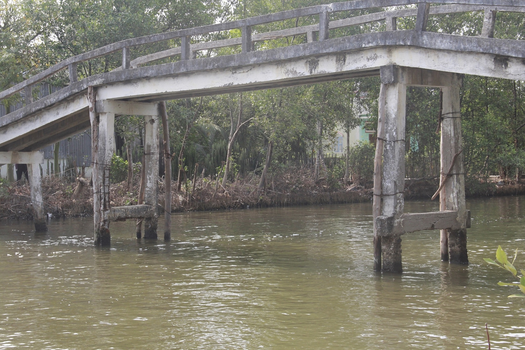 Nhung cay cau be tong tro loi sat o mien Tay hinh anh