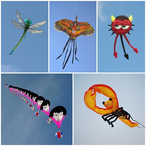 Le hoi dieu quoc te dip 30/4 anh 1