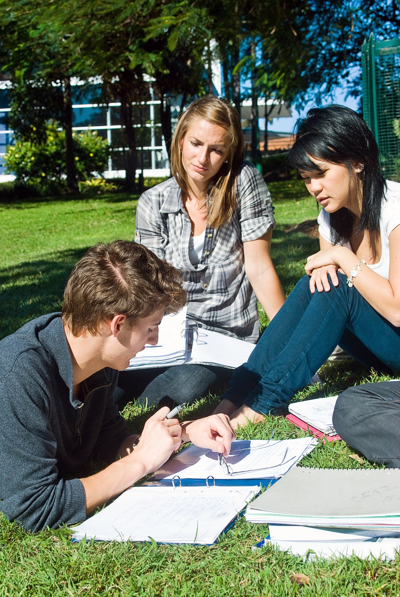 StudyLink ảnh 2 StudyLink anh 2