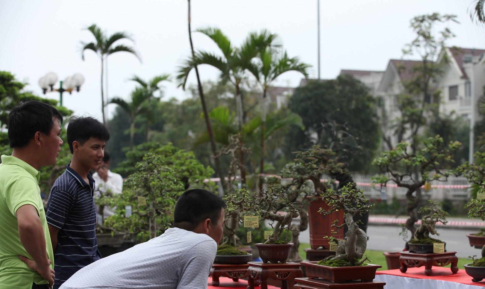 Le hoi sinh vat canh anh 4