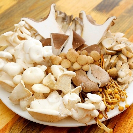 ăn lẩu nấm và các món nấm tại phổ nấm bảo quyên ảnh 1 an lau nam va cac mon nam tai pho nam bao quyen anh 1