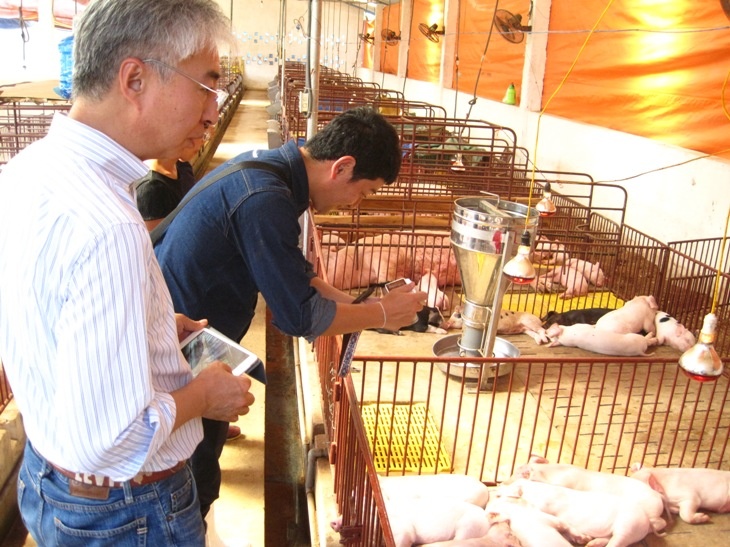 4 thoi quen an uong tot cho suc khoe cua nguoi Nhat hinh anh