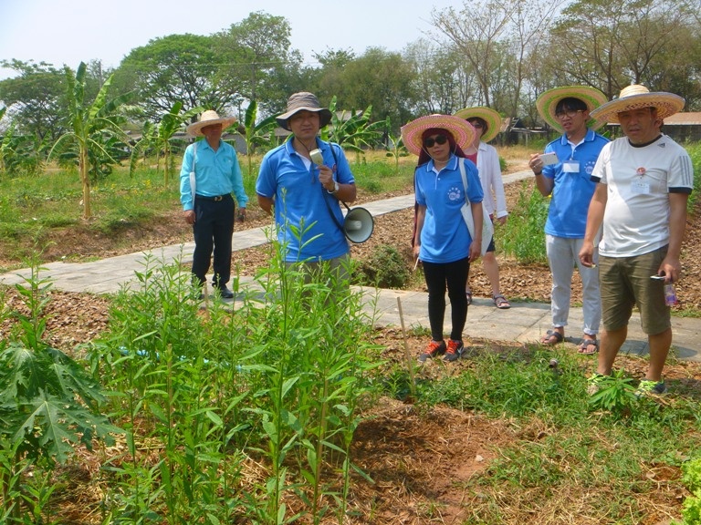 bí quyết sống thọ nhờ thực phẩm hữu cơ ảnh 3 bi quyet song tho nho thuc pham huu co anh 3