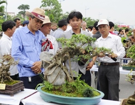20.000 cay canh quy tu tai le hoi sinh vat canh thu do hinh anh