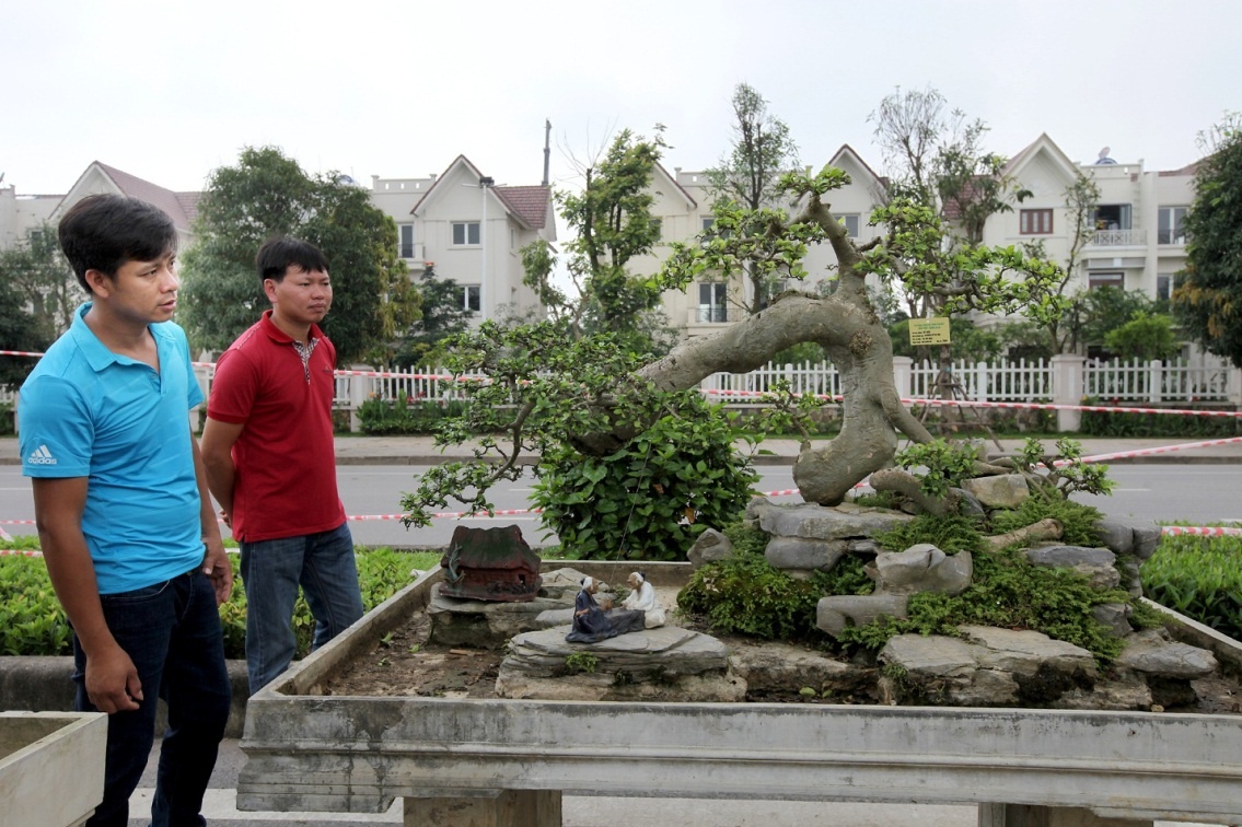 Festival sinh vật cảnh tại Vinhomes Riverside ảnh 3 Festival sinh vat canh tai Vinhomes Riverside anh 3