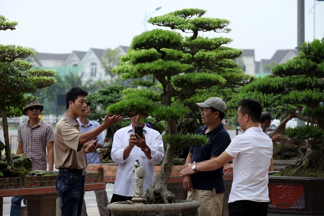 Festival sinh vật cảnh tại Vinhomes Riverside ảnh 4 Festival sinh vat canh tai Vinhomes Riverside anh 4