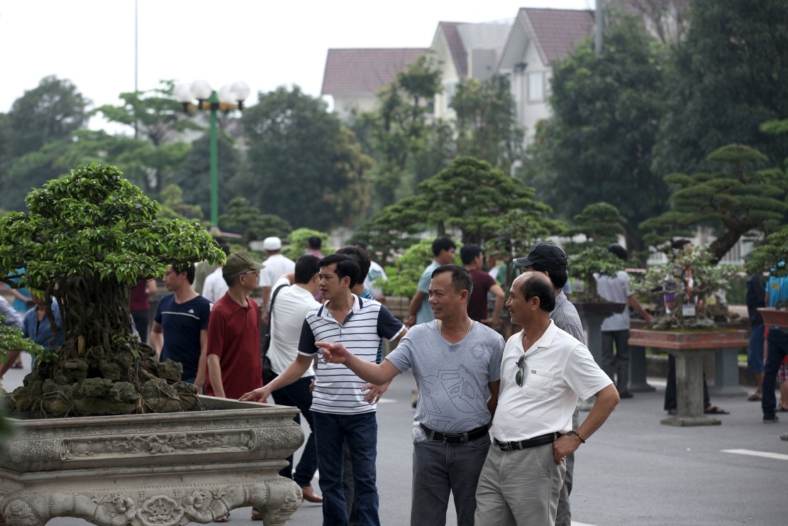 Festival sinh vật cảnh tại Vinhomes Riverside ảnh 5 Festival sinh vat canh tai Vinhomes Riverside anh 5