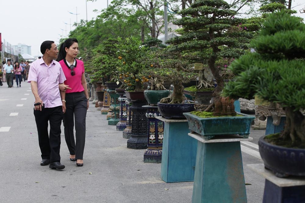 Festival sinh vật cảnh tại Vinhomes Riverside ảnh 7 Festival sinh vat canh tai Vinhomes Riverside anh 7