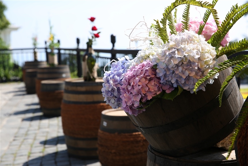 thuong thuc ruou vang tai Ba Na Hills anh 3